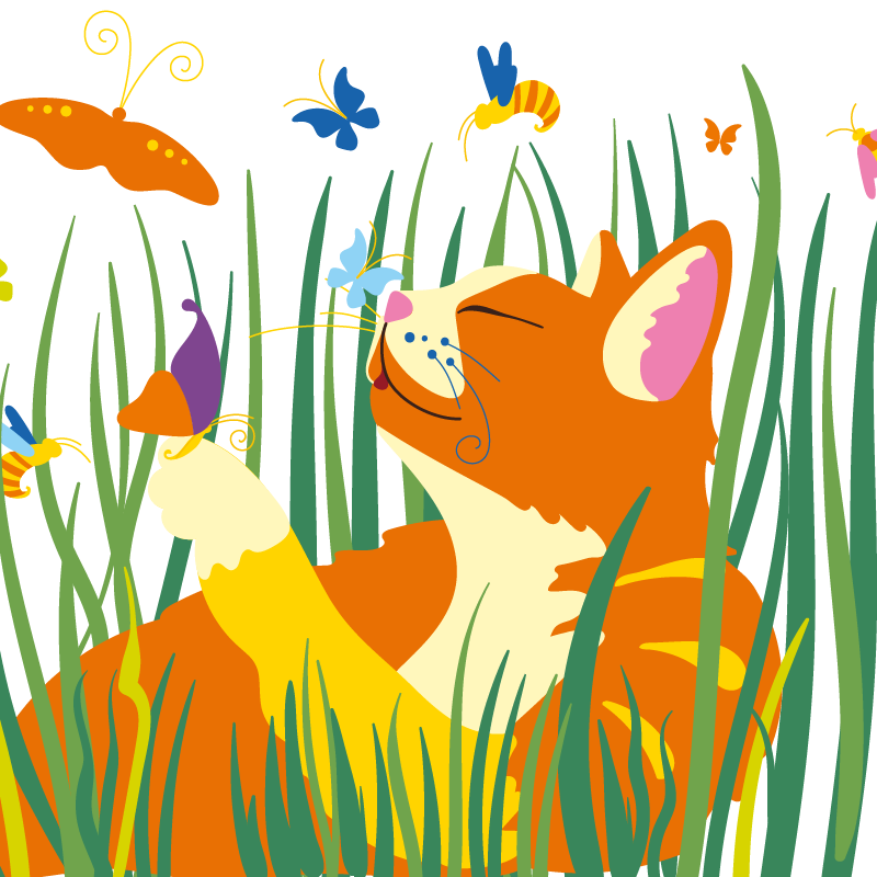 Cat Grass