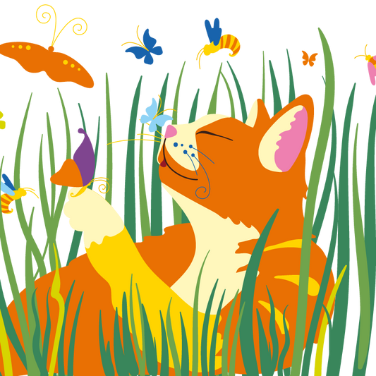 Cat Grass