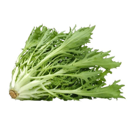 Endive Curled Ruffec