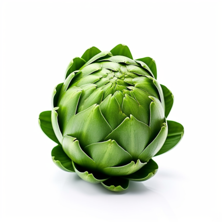Artichoke Green Globe