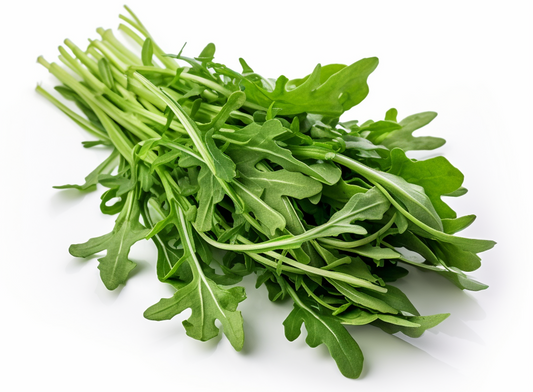 Arugula Roquette