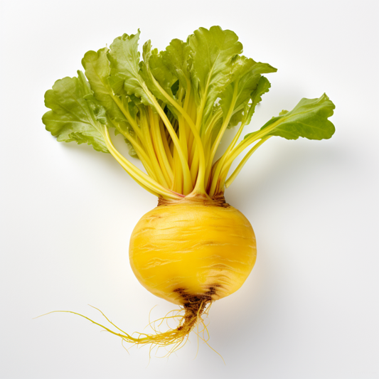 Beet Golden Detroit