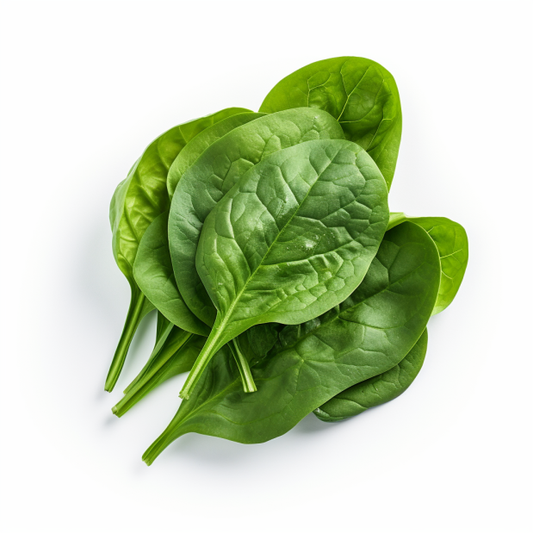 Spinach Bloomsdale Long Standing