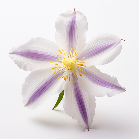 Columbine