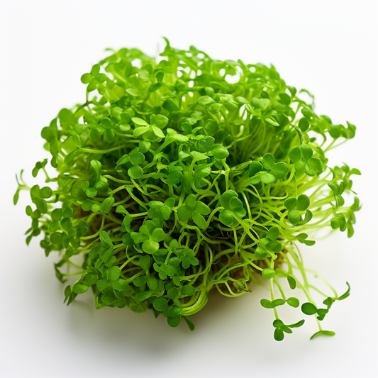 Cress Curled