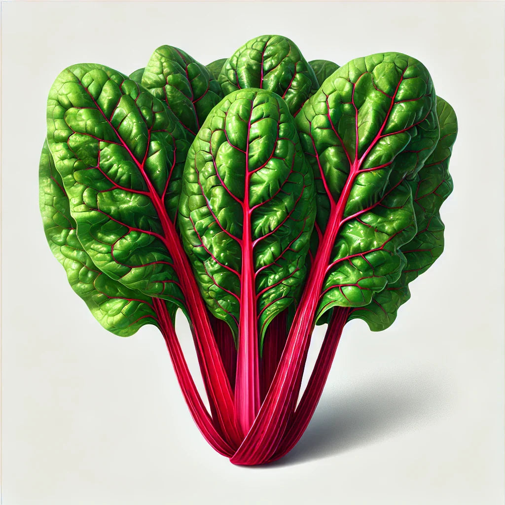Swiss Chard Ruby Red