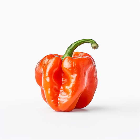 Hot Pepper Habanero