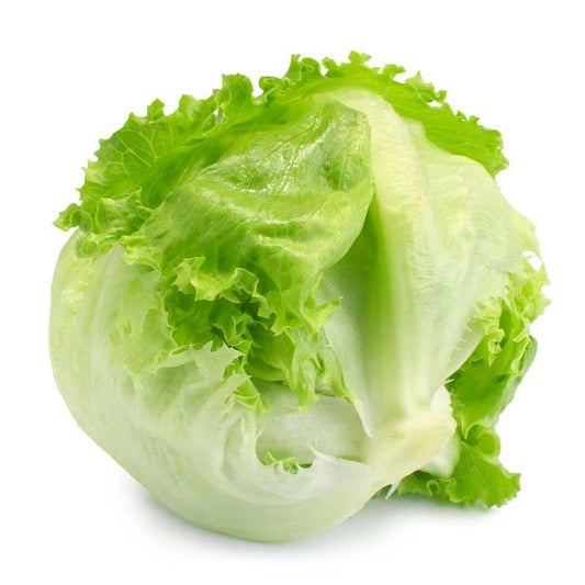 Lettuce Iceberg