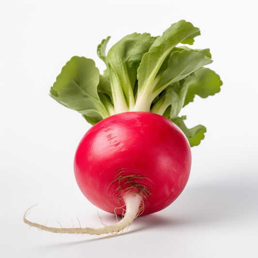 Radish Champion