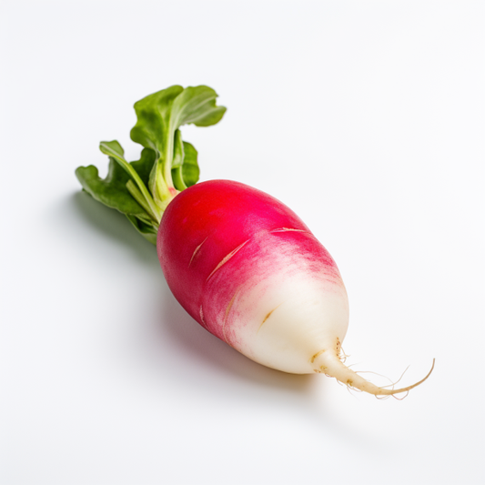Radish French Breakfast