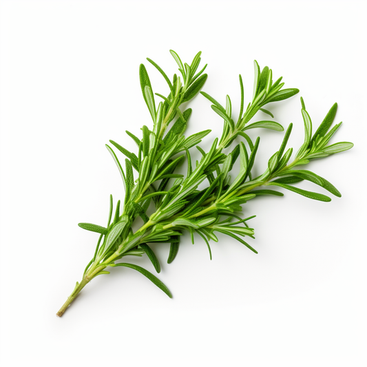 Summer Savory