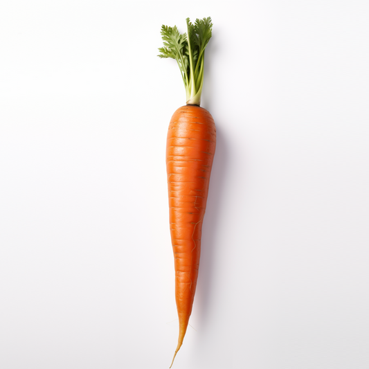 Carrot Tendersweet