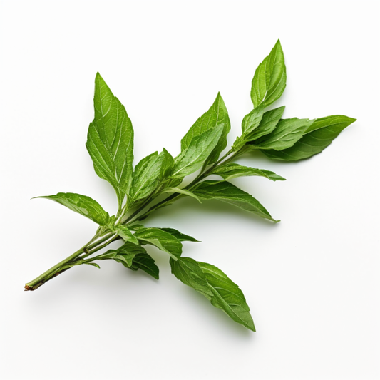 Thai Basil Licorice